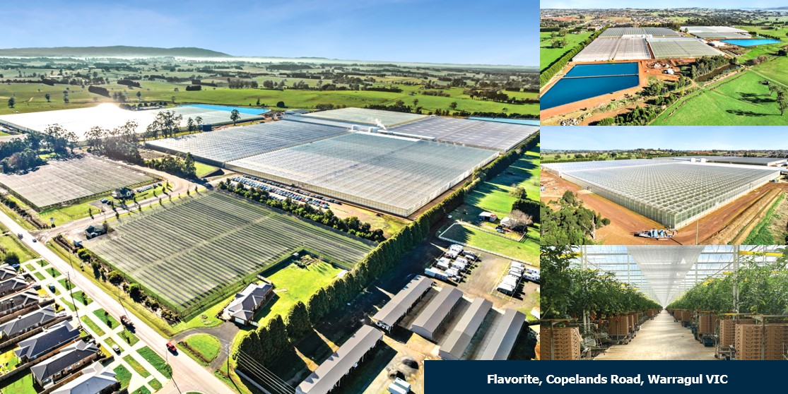 Centuria establishes agriculture fund with leading glasshouse property as seed asset